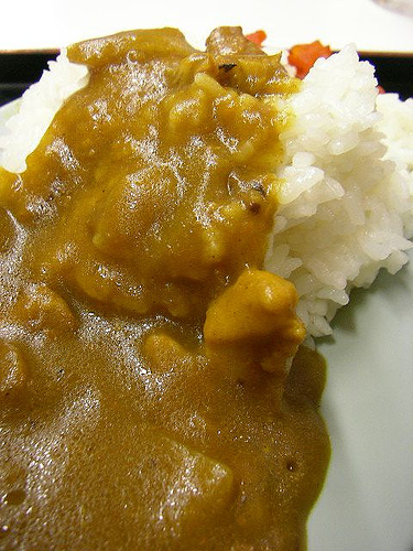 Japanese curry with rice | jetalone