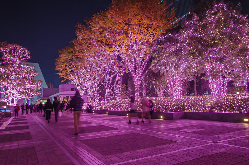 Shinjuku Terrace City Illumination